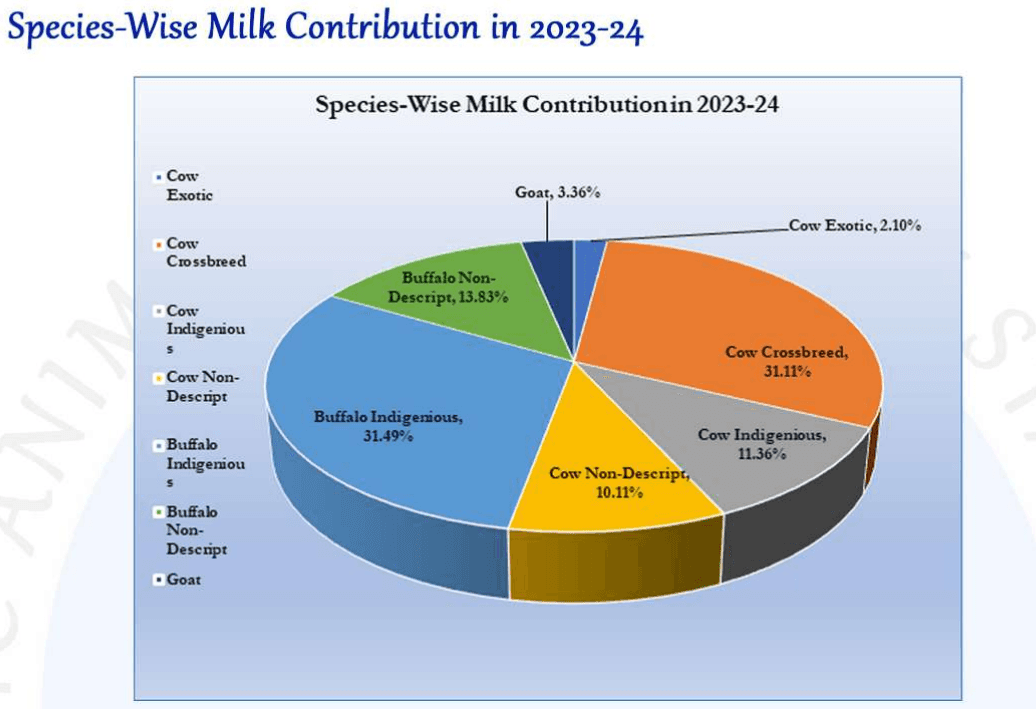 Illustration for World Milk Day 2025 Observance (Dairy Sector)