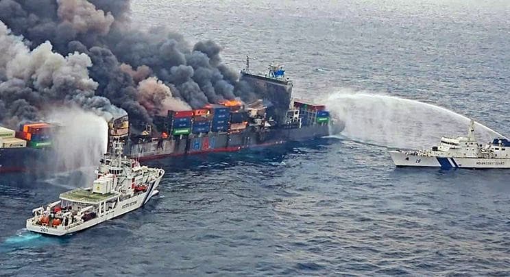 Illustration for Siamese Fireback in Uttarakhand (Bird Species)