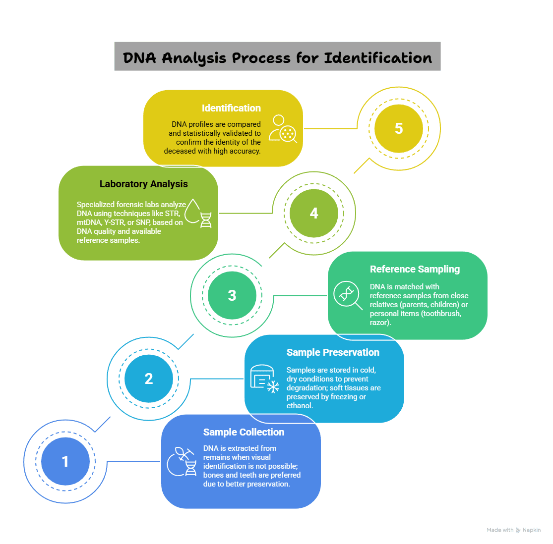 Illustration for DNA Identification Techniques (DNA Profiling)