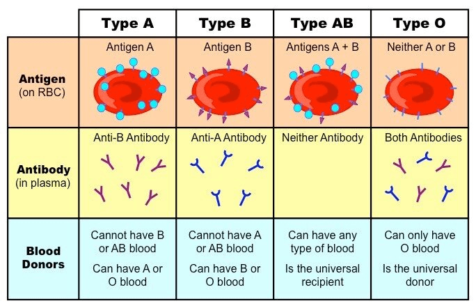 Illustration for Rare Donor Registry Integration (Rare Blood Registry)