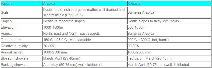 Illustration for India Coffee Export Surge (Coffee Exports)