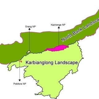 Illustration for Dhole Reappearance in Kaziranga Landscape (Endangered Species)