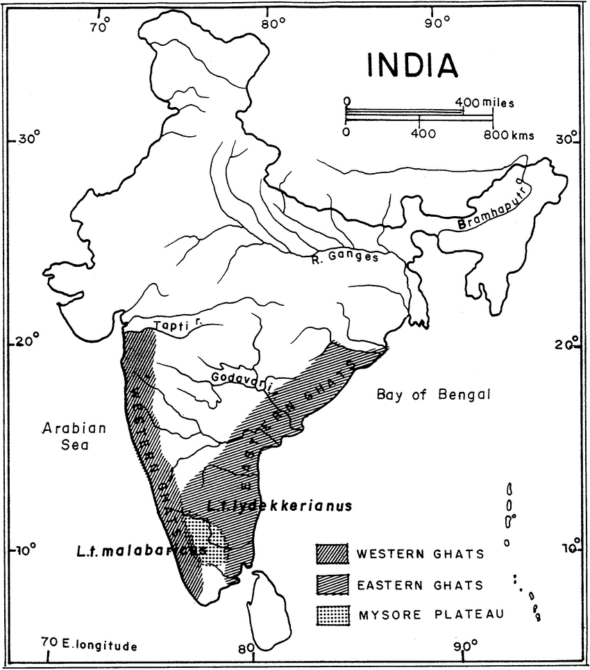Illustration for Community-Centric Western Ghats Conservation (Western Ghats)