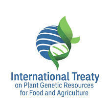 Illustration for GM Crop Adoption Challenges (GM Crops)