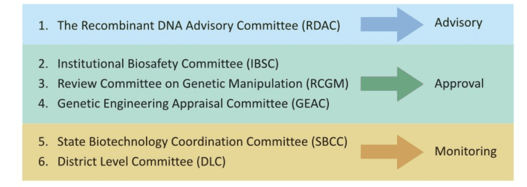 Illustration for GM Crops Opportunities and Challenges (Agribiotech Policy)