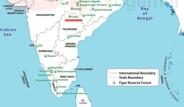 Illustration for Tadoba Andhari Tiger Reserve Profile (Tiger Reserves)