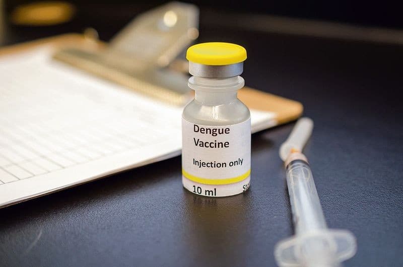 Illustration for Indigenous Dengue Vaccine Phase-3 Trials (Vaccine Development)