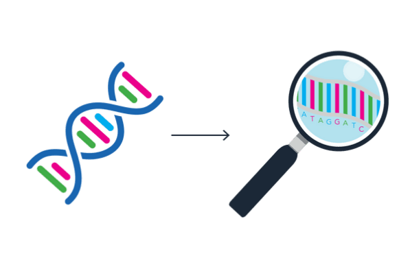 Illustration for Gujarat Tribal Genome Project (Genomics Research)