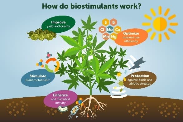 Illustration for Offshore Atomic Mineral Rules 2025 (Offshore Atomic Mining Rules)
