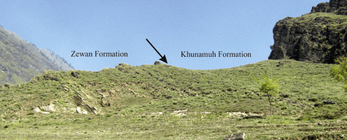 Illustration for AdFalciVax Indigenous Two-Stage Malaria Vaccine (Malaria Vaccine)