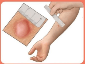 Illustration for Codex Alimentarius Global Food Safety Standards (Food Safety Standards)