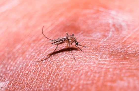 Illustration for Kashi Declaration on Youth-Led Drug Eradication (Drug Abuse Action)