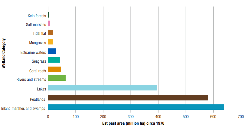 Illustration for Global Wetland Outlook 2025 Findings (Wetland Conservation)