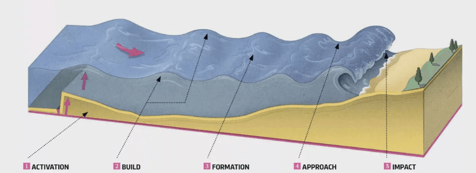 Illustration for Tsunami Formation and Impacts (Tsunami Mechanism)