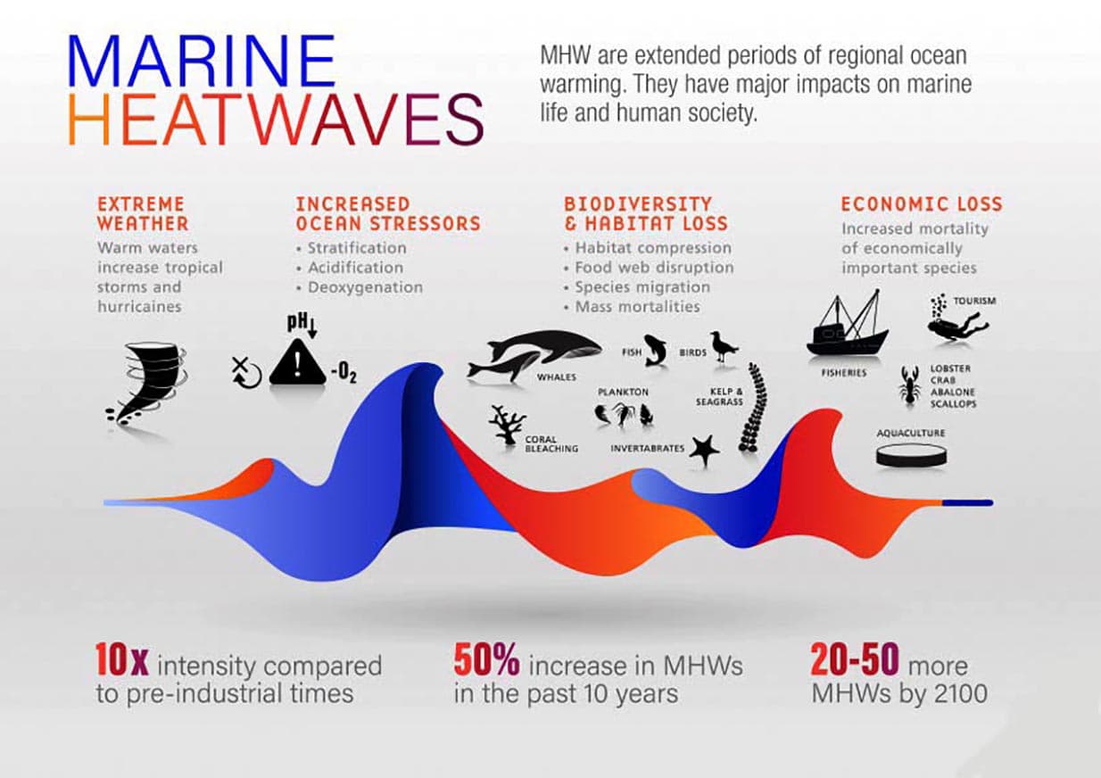 Illustration for Rising Marine Heatwaves around India (Marine Heatwaves)