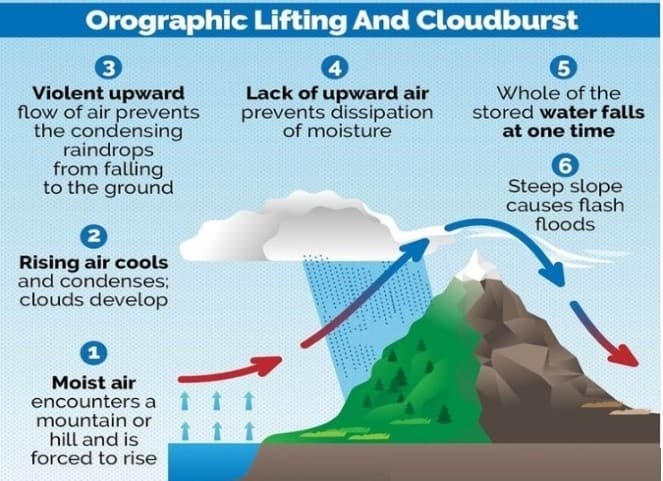 Illustration for Wind Energy Expansion Biodiversity Concerns (Wind Energy Impact)