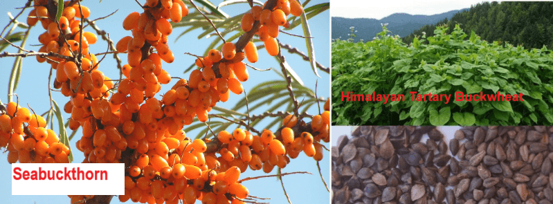 Illustration for Taiwan Great Recall Vote (Taiwan Recall)