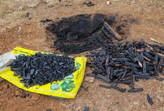 Illustration for Biochar Potential in India (Biochar Technology)