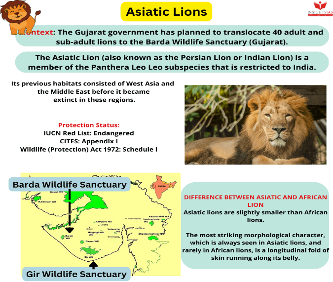 Illustration for Asiatic Lion 16th Census Findings (Wildlife Census)