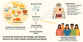 Illustration for Bioactive Peptides in Fermented Foods (Personalised Nutrition)