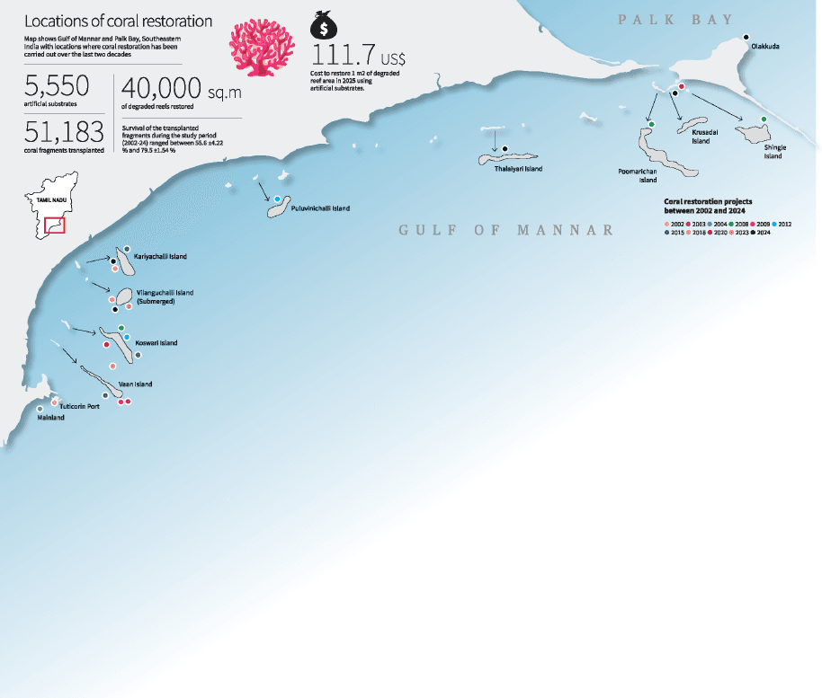 Illustration for Gulf of Mannar Reef Revival (Coral Reef Restoration)