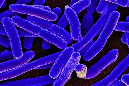 Illustration for E. coli Mercury Biosensor (Biosensor Tech)