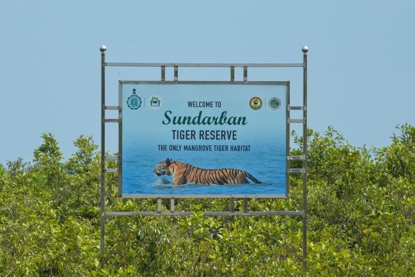 Illustration for Expanded Sundarbans Tiger Reserve (Mangrove Tiger Habitat)