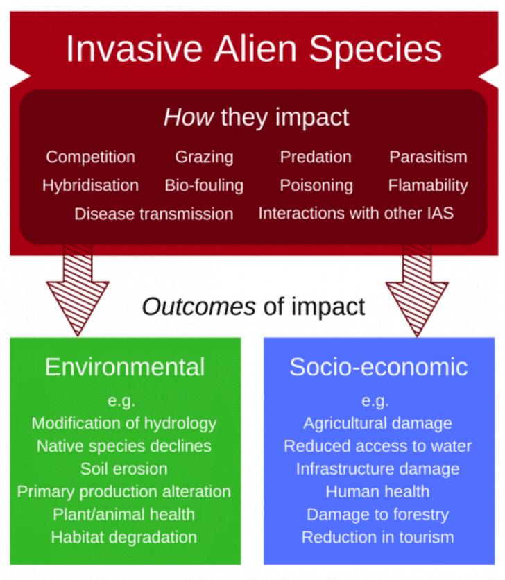 Illustration for India Invasive Alien Species Costs (Biological Invasions)