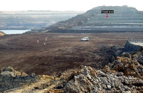 Illustration for Veterinary Blood Transfusion Guidelines 2025 (Veterinary Medicine)