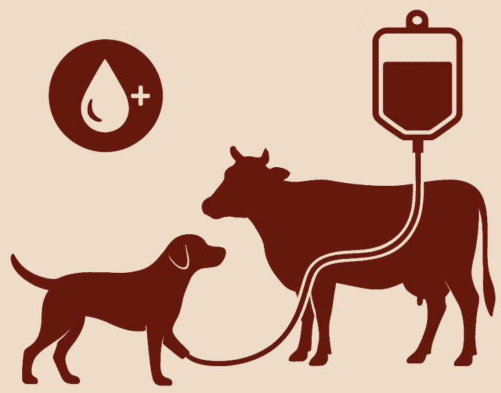 Illustration for INS Udaygiri and Himgiri Frigates (Nilgiri-class Frigate)