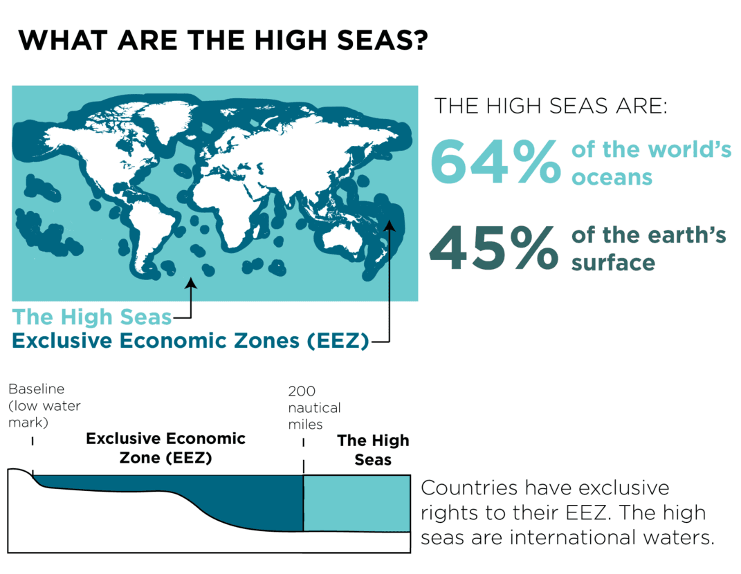 Illustration for High Seas Biodiversity Treaty (High Seas Treaty)