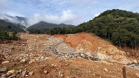 Illustration for Grey Rhino Disaster Risk (Disaster Risk)