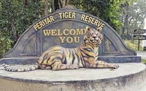 Illustration for Periyar Tiger Reserve Ecotourism (Tiger Reserve)