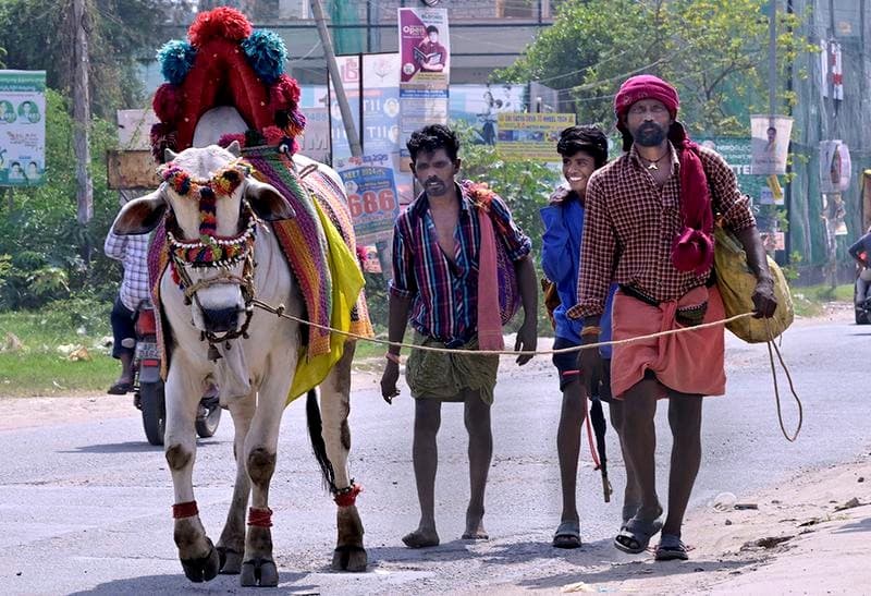 Illustration for De-notified and Nomadic Tribes Welfare (De-notified Tribes)