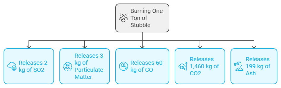 Illustration for Stubble Burning Pollution and Mitigation Measures (Crop Residue Burning)
