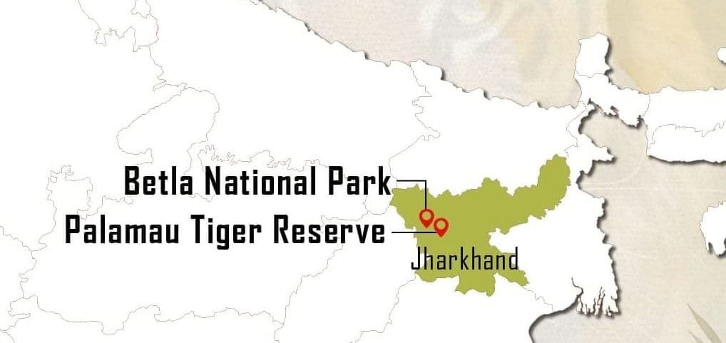 Illustration for AI Nature Centre Betla Park (Eco-tourism Tech)