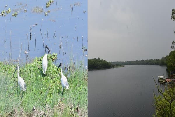 Illustration for New Ramsar Wetlands in Bihar (Ramsar Wetlands)