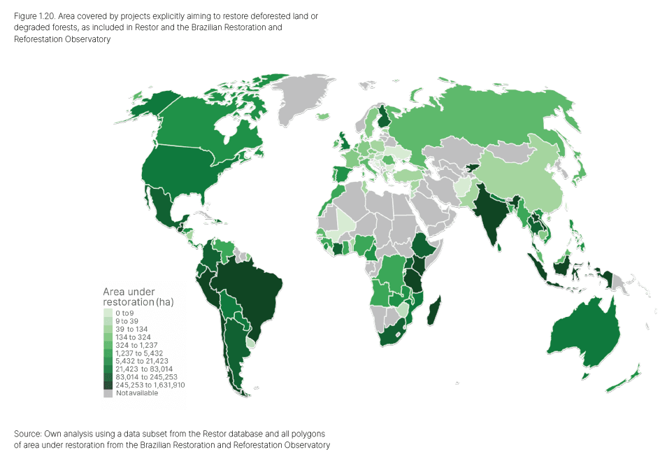 Illustration for Forest Declaration Assessment 2025 Findings (Global Deforestation)