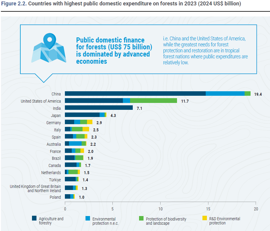 Illustration for State of Forest Finance 2025 (Forest Finance)