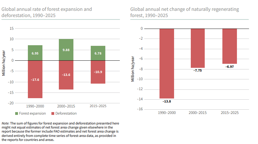 Illustration for Global Forest Resources Assessment 2025 Findings (Global Forest Assessment)