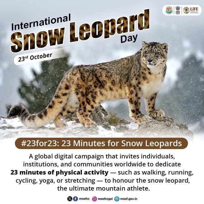 Illustration for 23for23 Snow Leopard Conservation Campaign (Snow Leopard)
