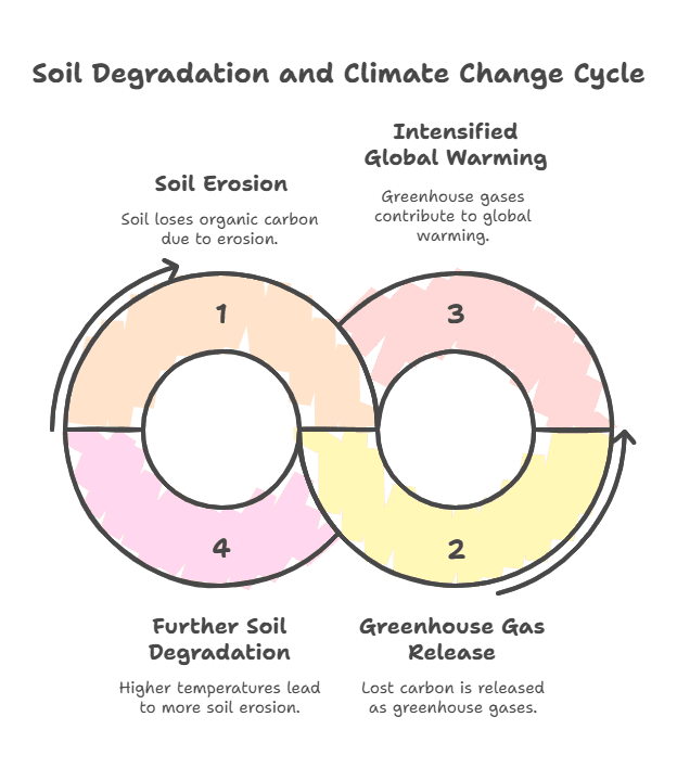 Illustration for Soil Organic Carbon Restoration Strategies (Soil Organic Carbon)