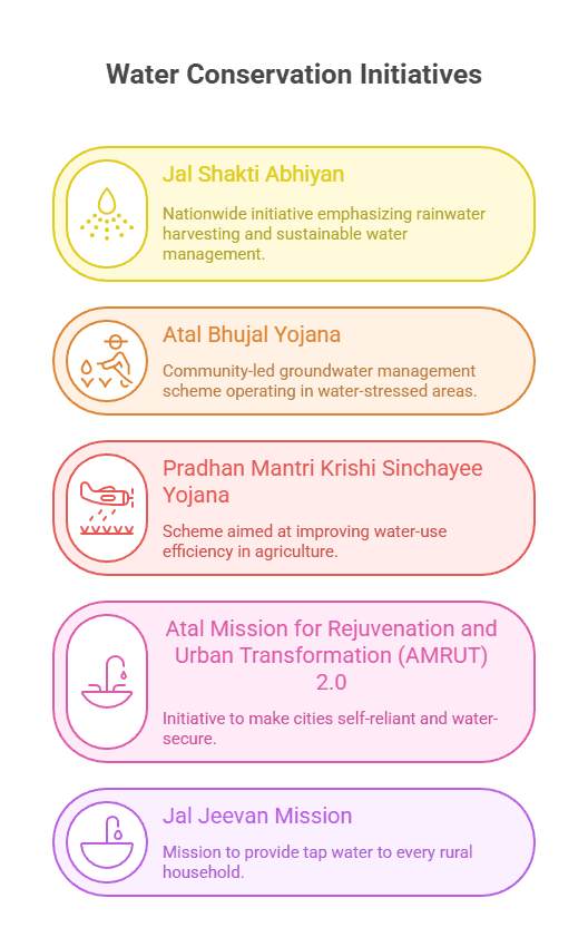 Illustration for Dugong Conservation Status India (Marine Mammal)