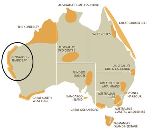 Illustration for In-Flight Internet Systems (In-flight Wi-Fi)