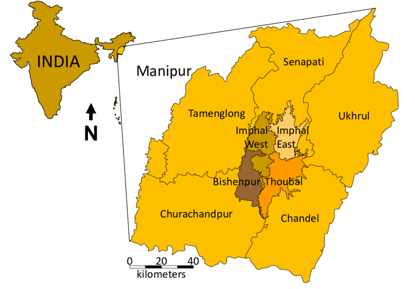 Illustration for Manipur Ice-Age Bamboo Fossil (Palaeobotany)