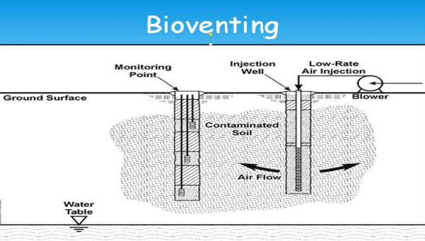 Illustration for Bioremediation Methods for Pollution Cleanup (Bioremediation)