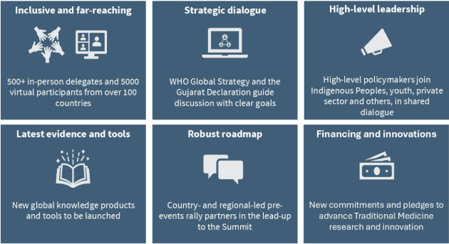 Illustration for WHO Summit on Traditional Medicine 2025 (Traditional Medicine)