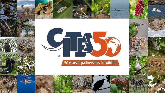 Illustration for CITES 50th Anniversary (CITES Treaty)