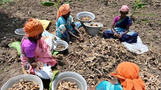 Illustration for Climate Heat Risks for Women (Gender & Climate Health)