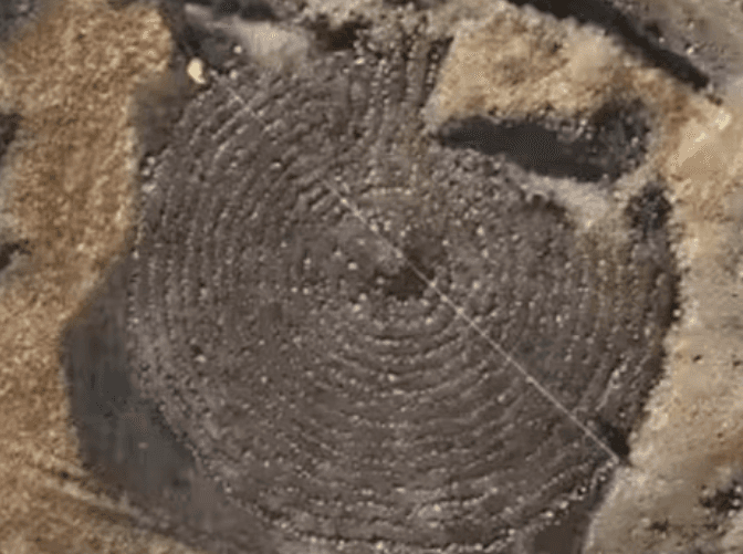 Illustration for Satavahana-Era Solapur Labyrinth Discovery (Satavahana Archaeology)